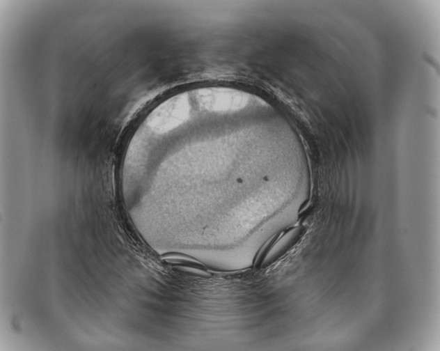 X0000097831214200804111031