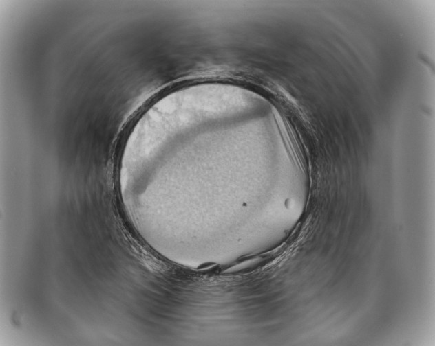 X0000097831216200804111031