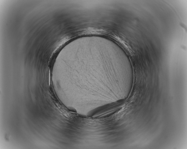 X0000097831219200804111031