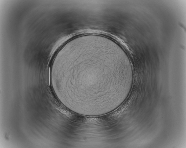 X0000097831223200804111031