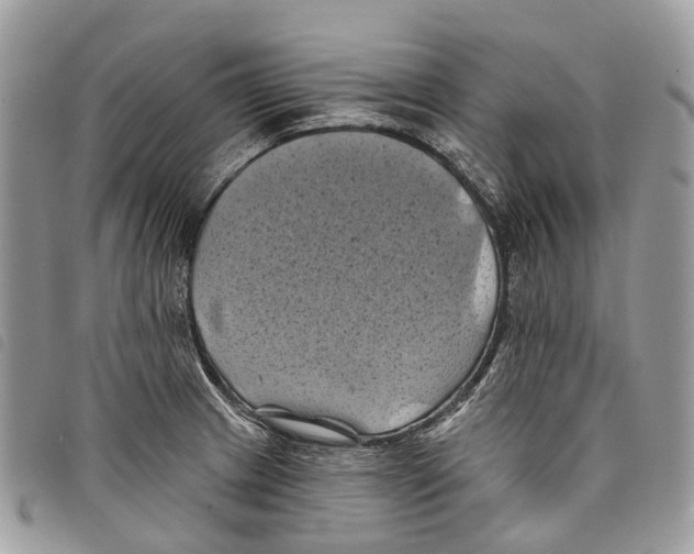 X0000097831233200804111031