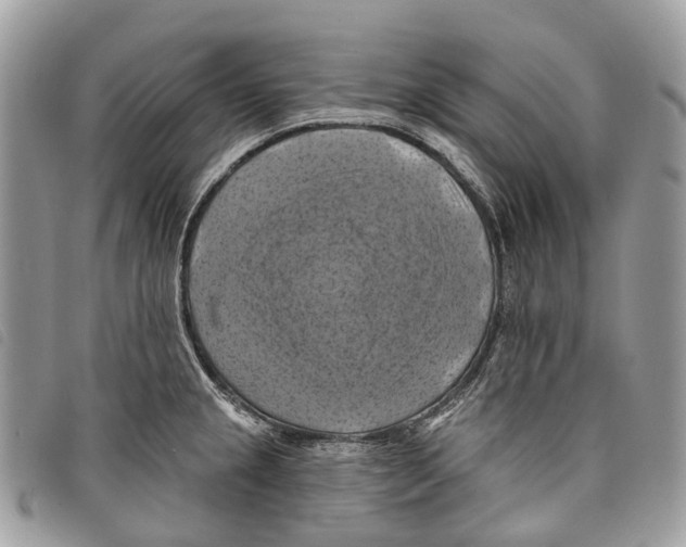 X0000097831237200804111031