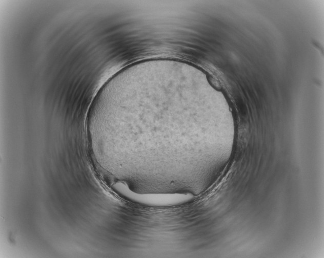 X0000097831242200804111031