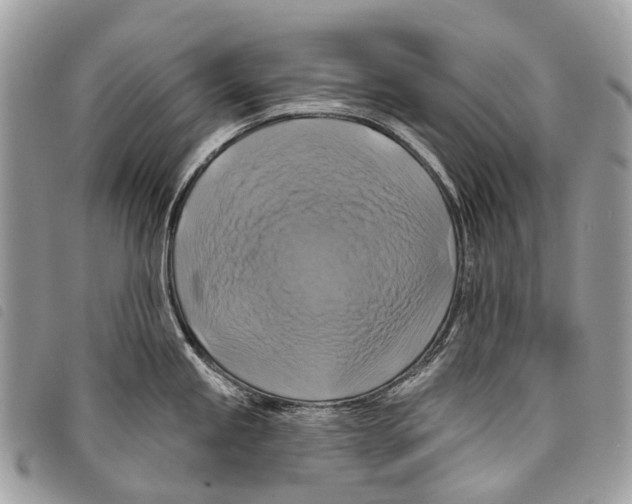 X0000097831245200804111031