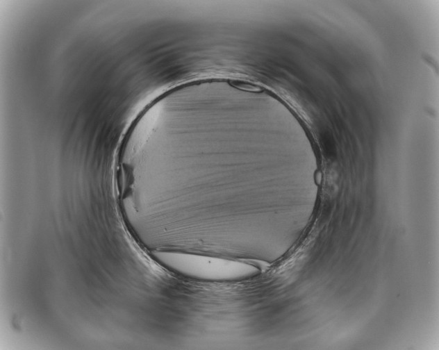 X0000097831246200804111031