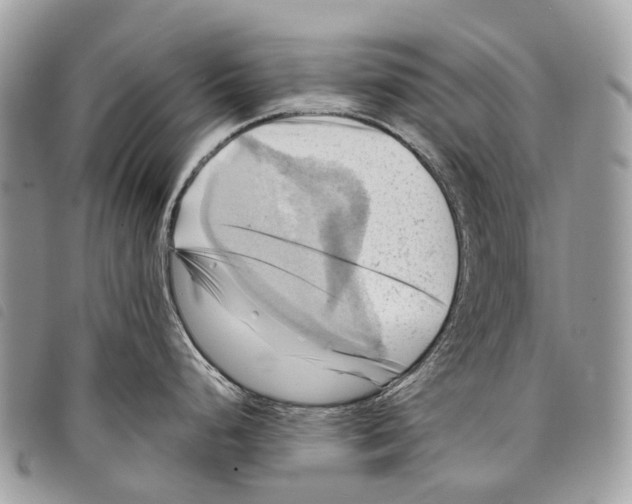 X0000097831248200804111031