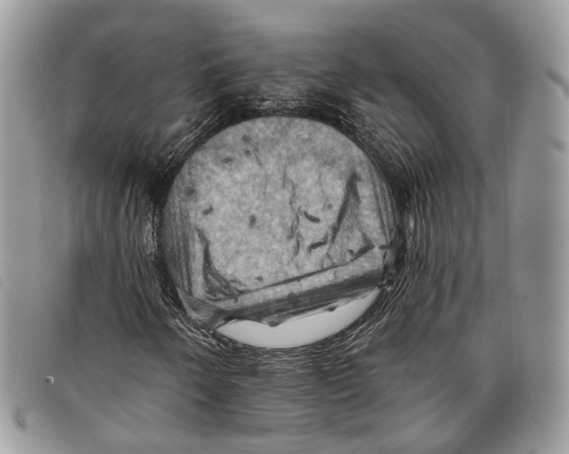 X0000097831250200804111031