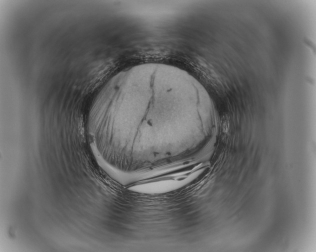 X0000097831252200804111031