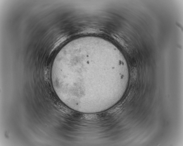 X0000097831258200804111031