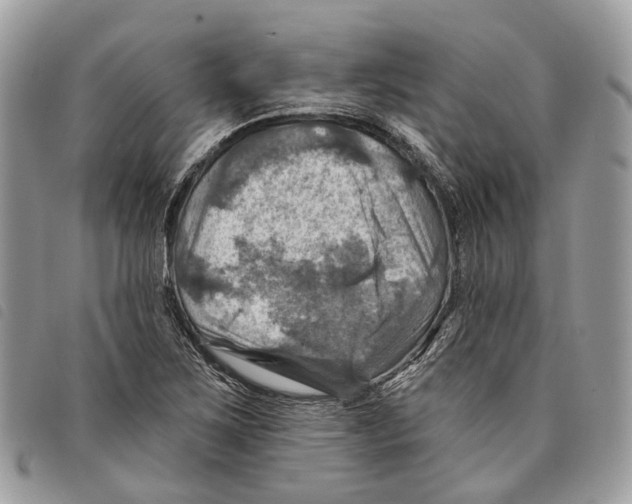 X0000097831267200804111030