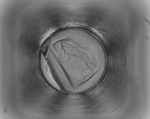 X0000097831269200804111030