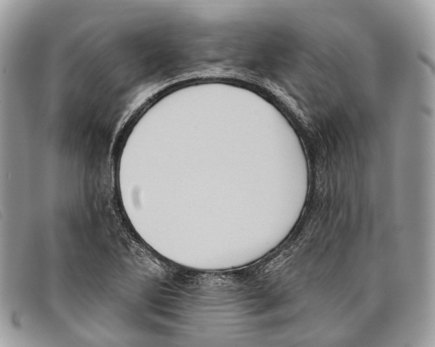 X0000097831270200804111030