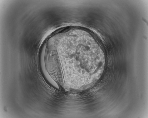 X0000097831271200804111030