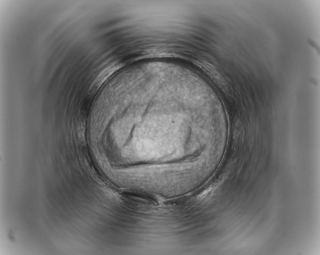 X0000097831273200804111030