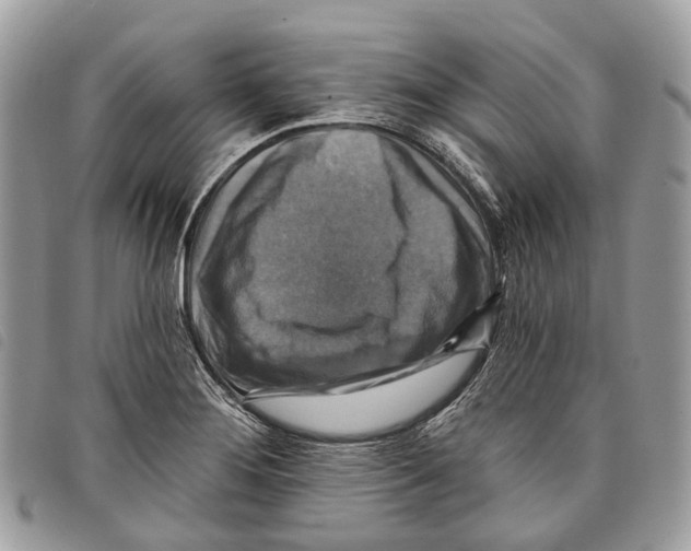 X0000097831276200804111030