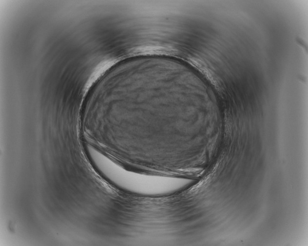 X0000097831277200804111030