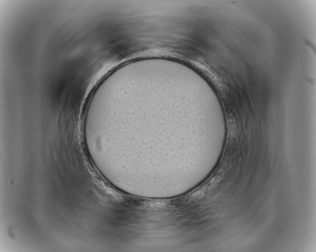 X0000097831278200804111030