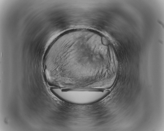 X0000097831279200804111030