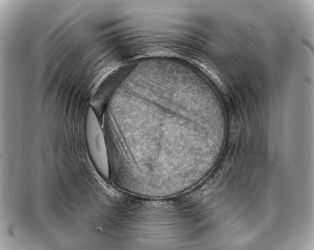 X0000097831281200804111030