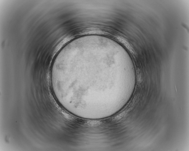 X0000097831282200804111030