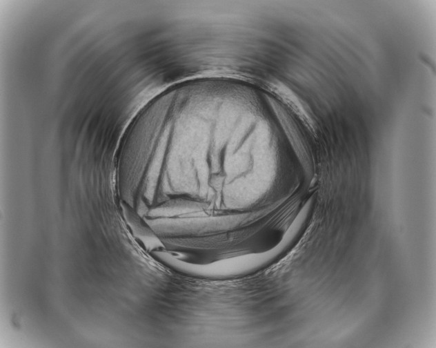 X0000097831284200804111030