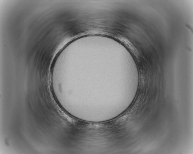 X0000097831286200804111030