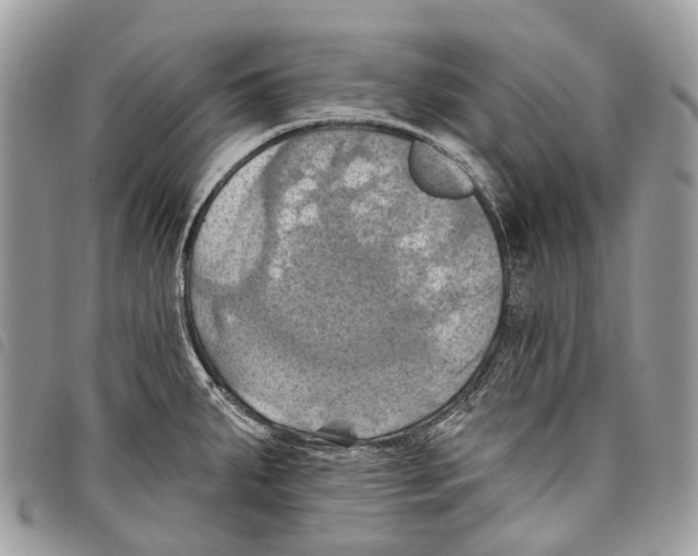 X0000097831287200804111030