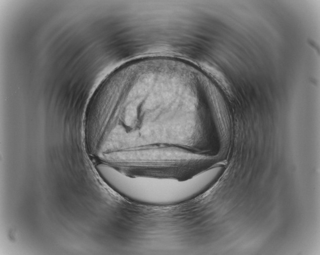 X0000097831288200804111030