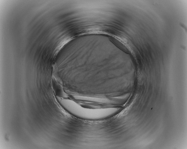 X0000097831289200804111030