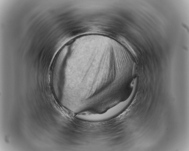 X0000097831292200804111030