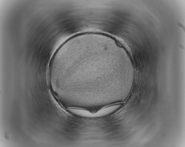 X0000097831295200804111030