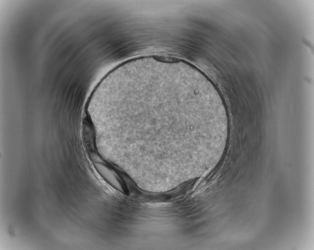 X0000097831296200804111030