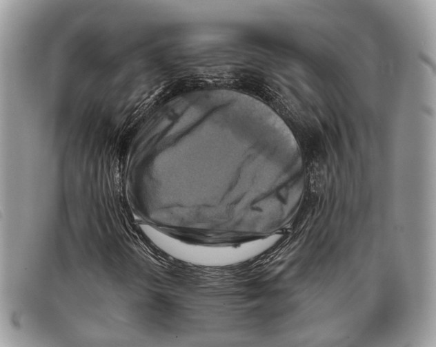 X0000097831298200804111029