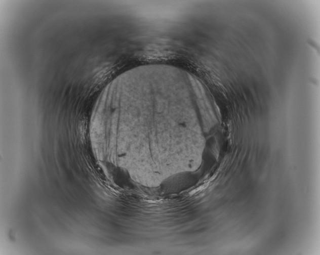 X0000097831300200804111029