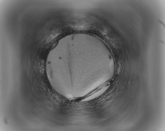 X0000097831301200804111029