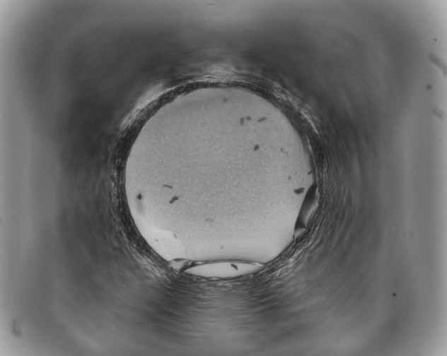 X0000097831304200804111029