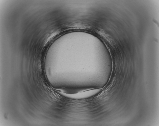 X0000097831307200804111029