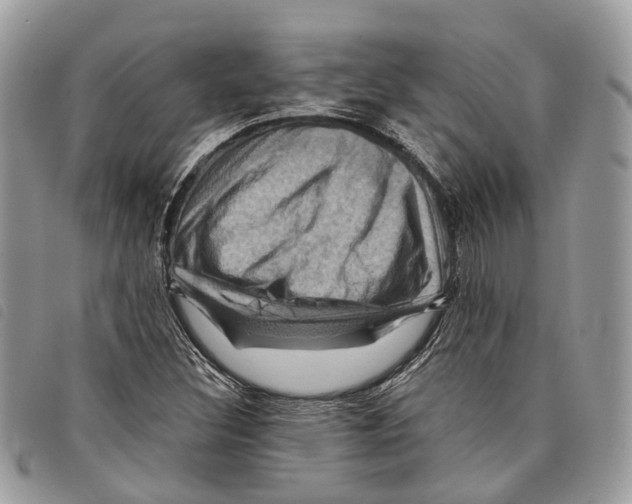 X0000097831308200804111029