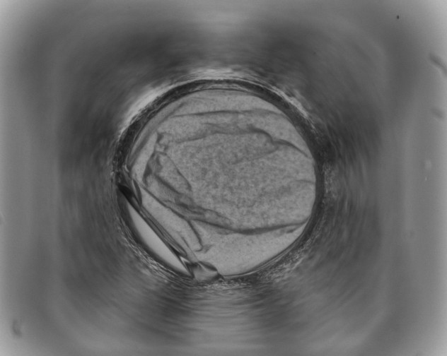 X0000097831311200804111029