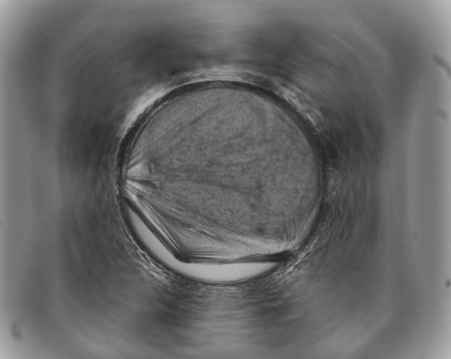 X0000097831312200804111029