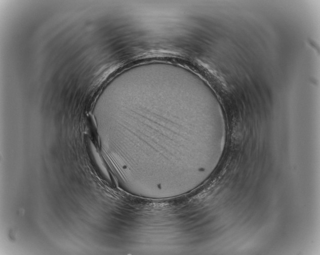 X0000097831313200804111029