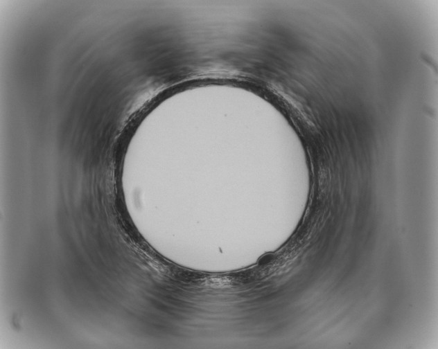 X0000097831315200804111029