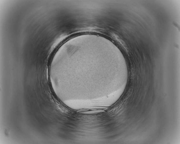 X0000097831320200804111030