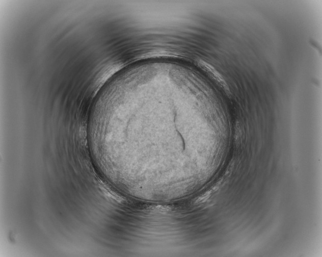 X0000097831321200804111030