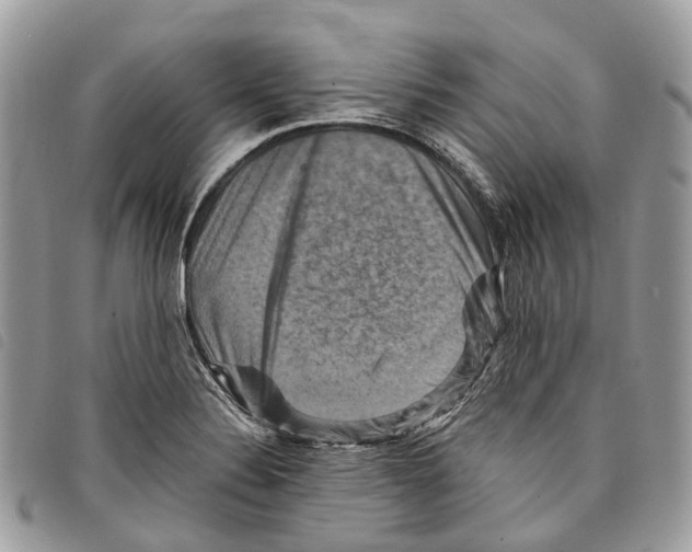 X0000097831324200804111030