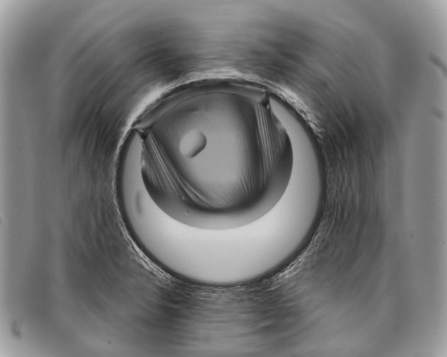 X0000097831326200804111030