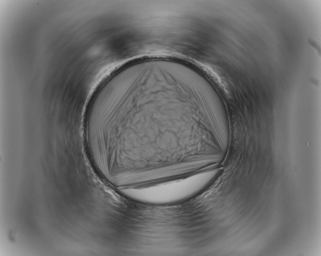 X0000097831327200804111030