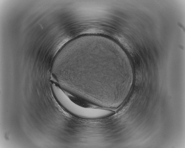 X0000097831329200804111030