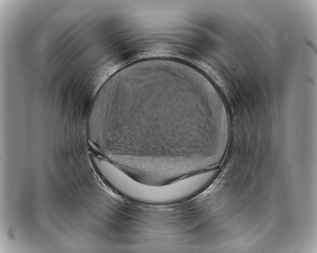 X0000097831337200804111030