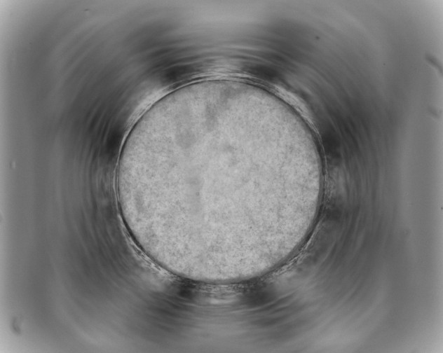 X0000097831338200804111030